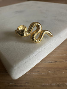 Snake