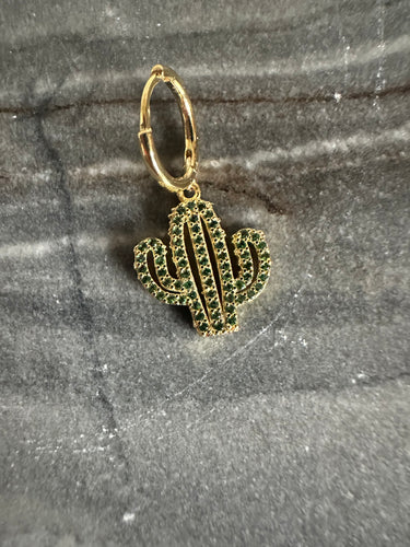 Big cactus