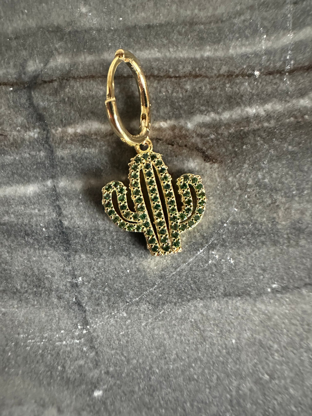 Big cactus