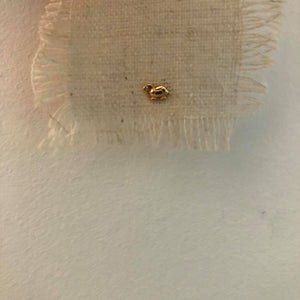 Turtle mini stud gold