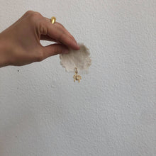 Load image into Gallery viewer, Crab hoop