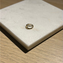 Load image into Gallery viewer, Double hoop