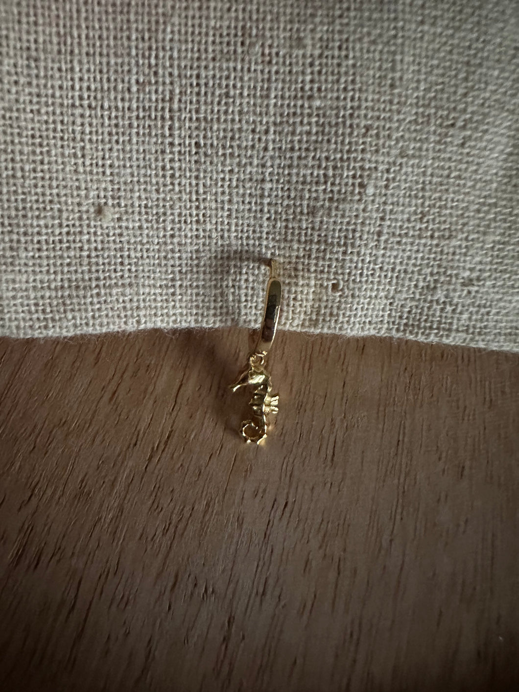Seahorse
