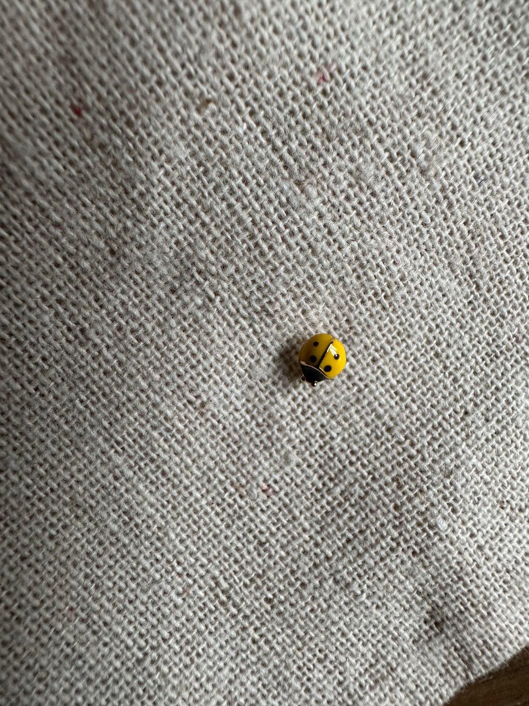 Ladybug