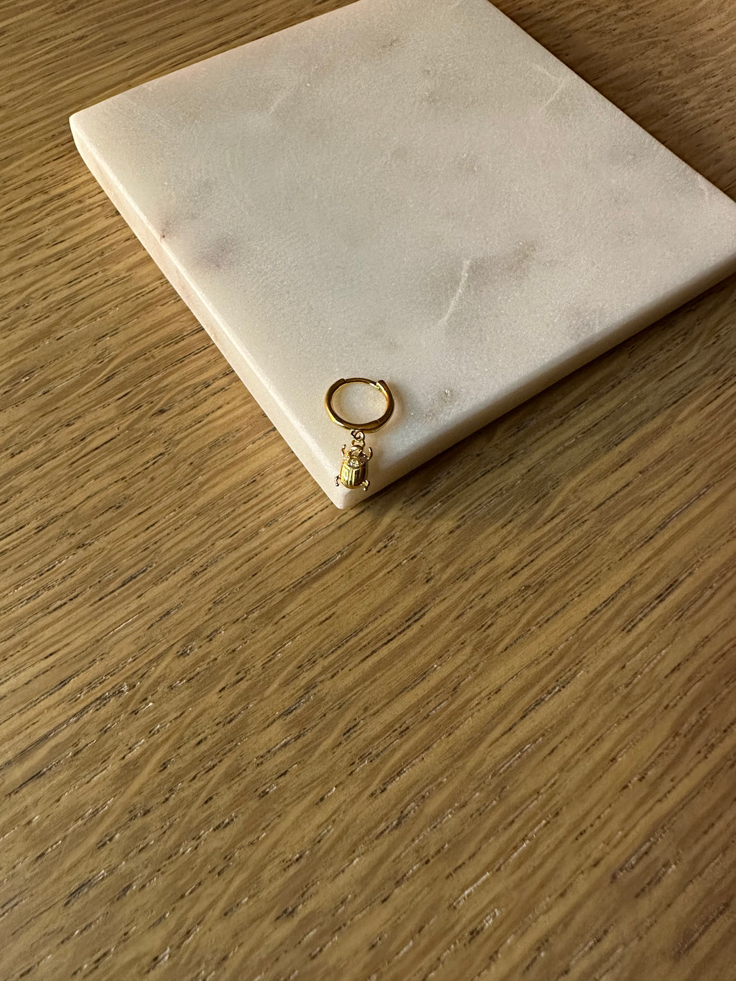 Ladybug hoop