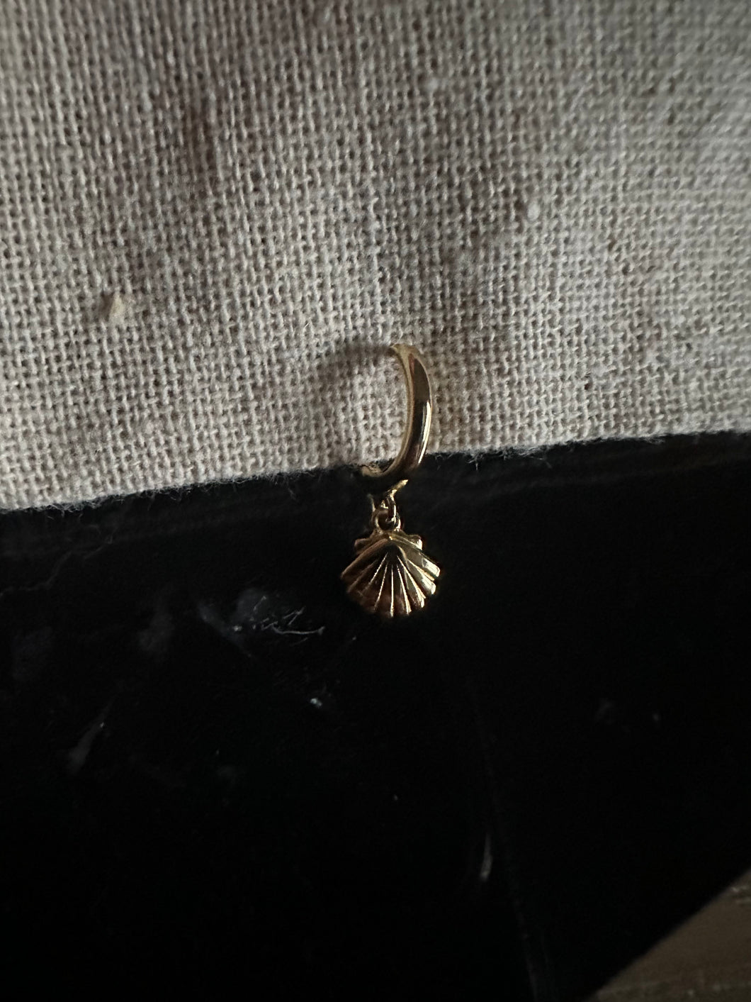 Shell hoop