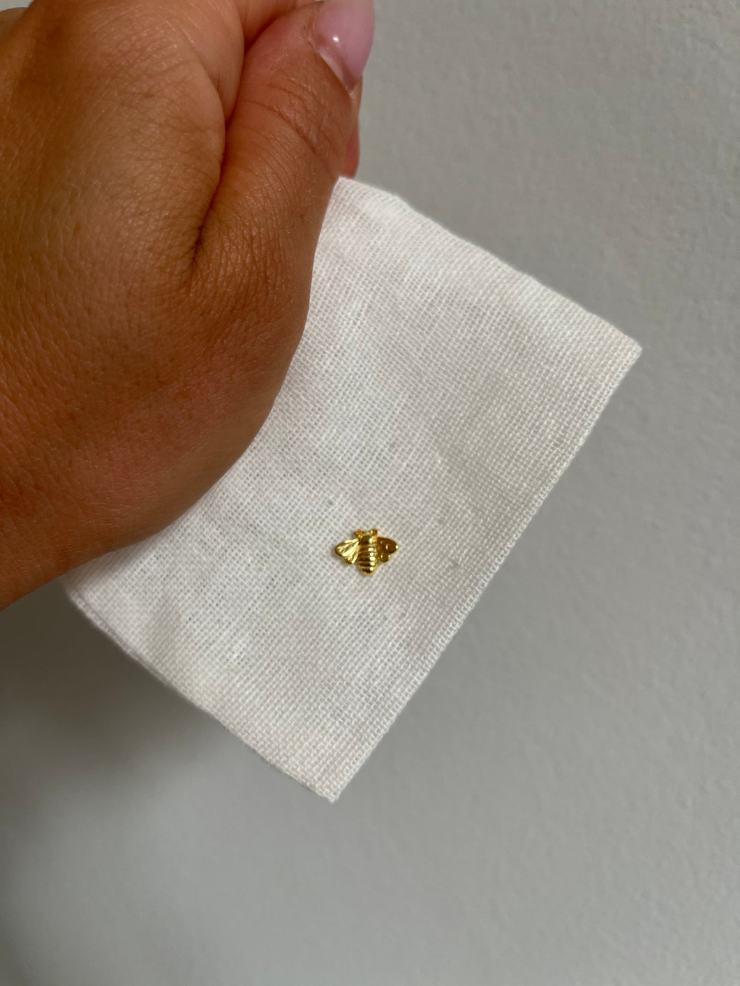 Fly